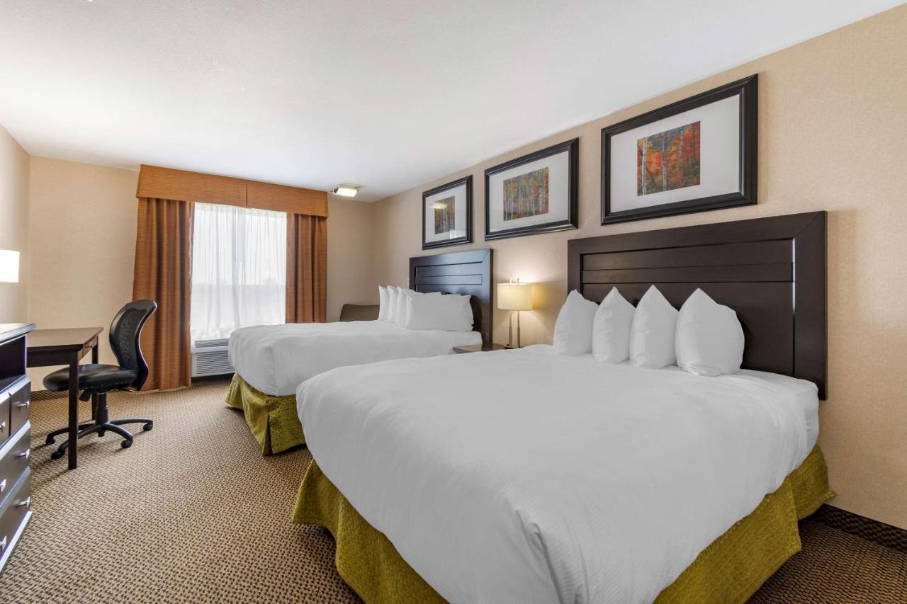 Best Western Bonnyville Inn&Suites Extérieur photo