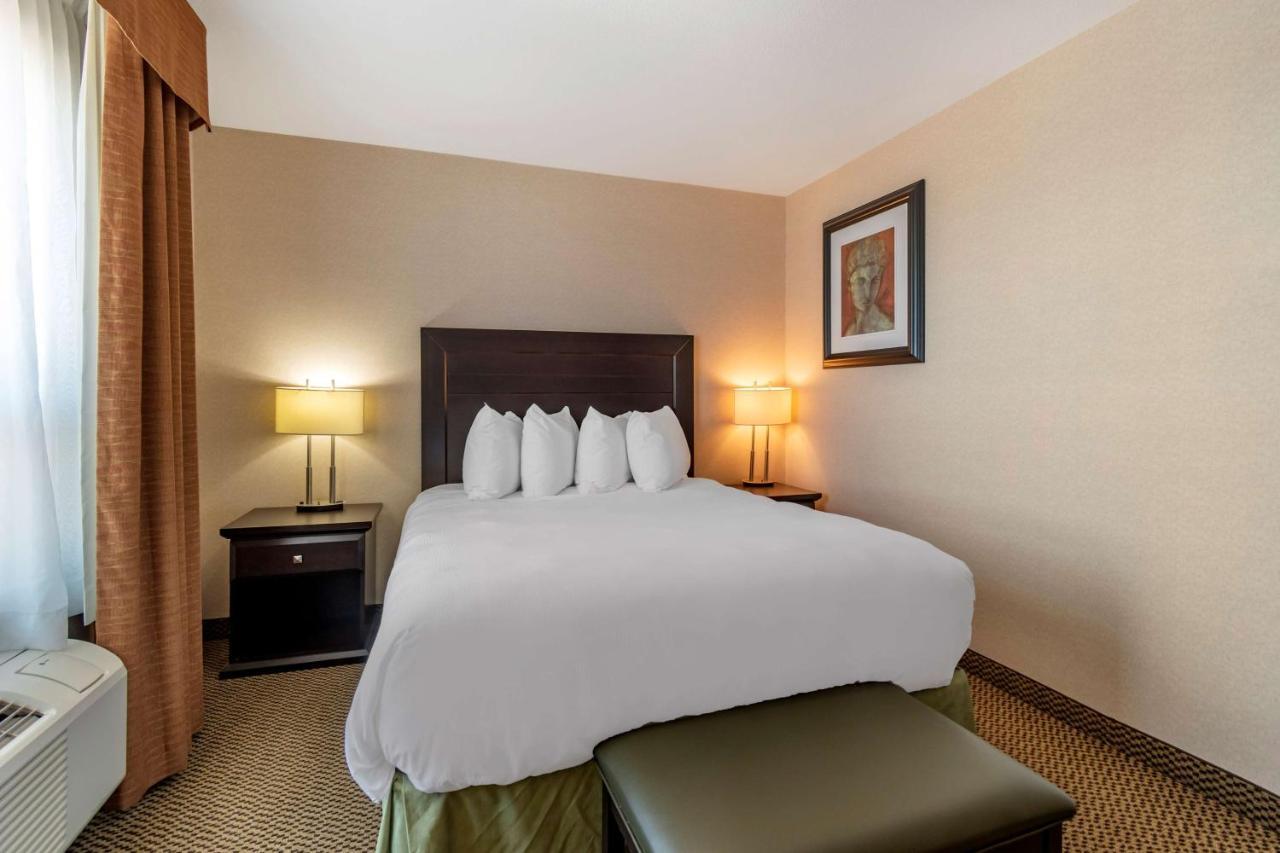 Best Western Bonnyville Inn&Suites Extérieur photo